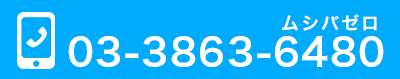 03-3863-6480